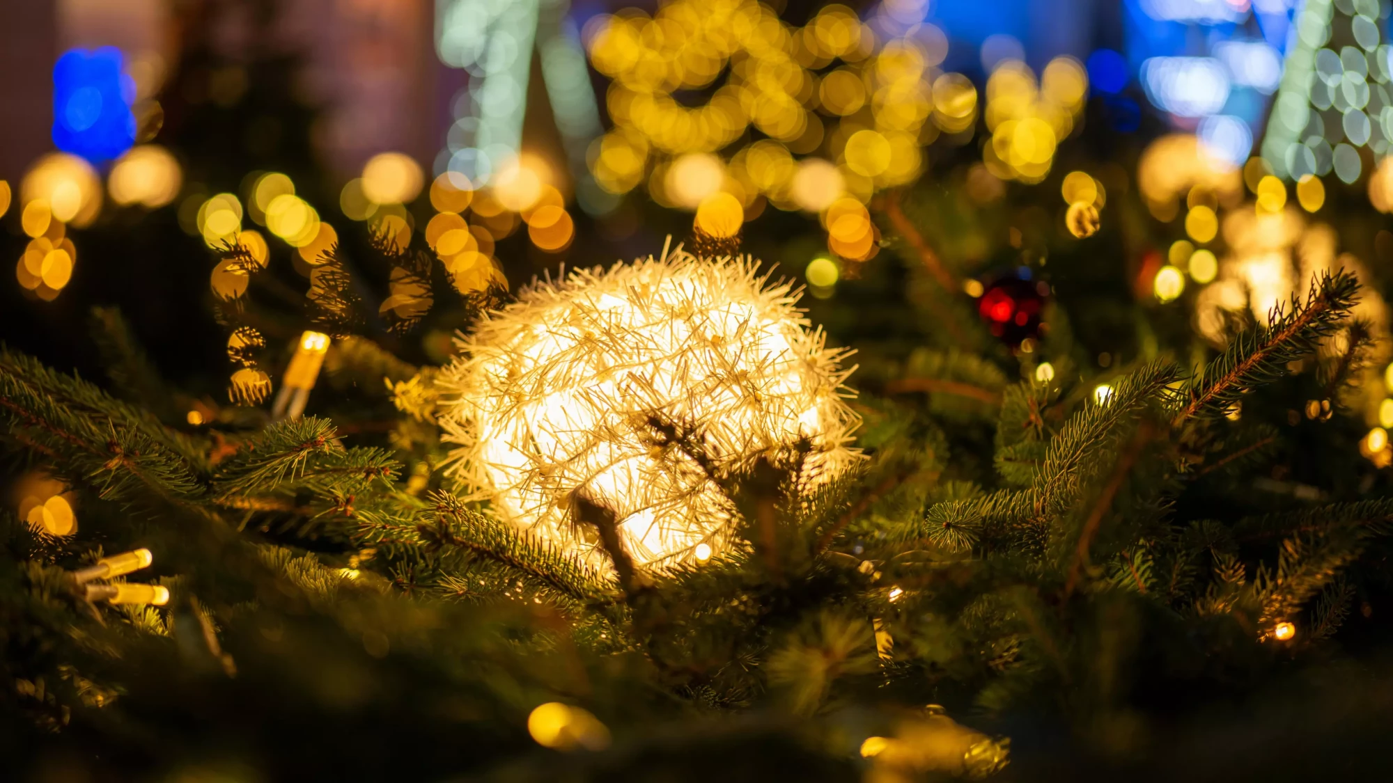 Design sans titre (2)